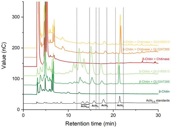 HPAEC-PAD chromatograms for LPMO activity assay with β-chitin of GL0183513 or GL0247266 alone (green) and in combination with chitinase (red).