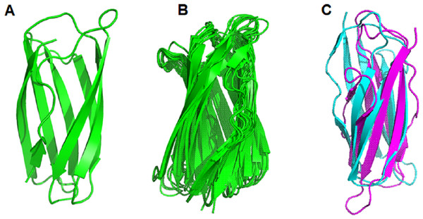 Comparison of the spatial structure of the Domain-X of 13 putative LPMOs with the GbpA_3 domain of Vibrio cholera GbpA.