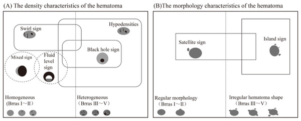 Schematic diagram of potential overlap between CT plain scan imaging signs.