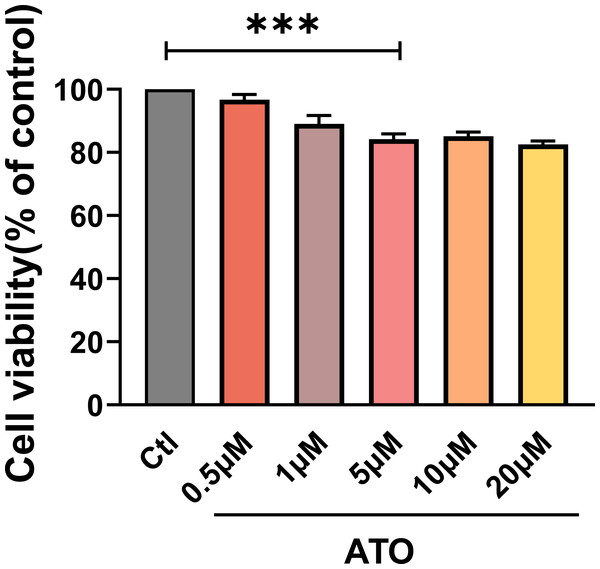 ATO inhibited the viability of HCT116 cells.