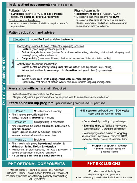 Overview of personalised hip therapy (PHT) core components.