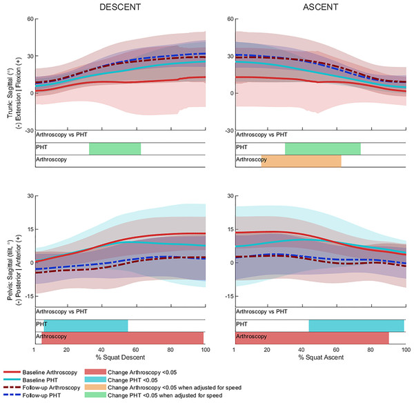 Sagittal plane trunk (upper) and pelvis (lower) angles across squat descent and ascent.