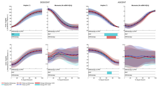 Sagittal plane knee (upper) and ankle (lower) angles and moments across squat descent and ascent.