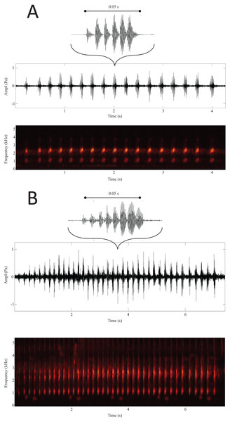 Spectrogram and oscillogram of calls from Ruzhdak (A) and Plovdiv (B).