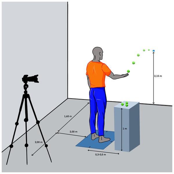 Schematic illustration of the protocol setup.