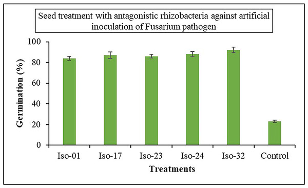 Effect of seed treatment with native rhizobacterial isolates against artificially inoculated fusarium pathogen on germination (%) under in vivo conditions.