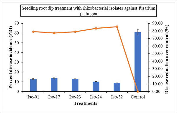 Effect of seedling root dip treatment with native rhizobacterial isolates against artificially inoculated fusarium pathogen on percent disease incidence (PDI) under in vivo condition.