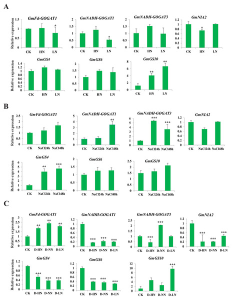 Expression profile of seven selected GmGS, GmGOGAT, and GmNR genes in response to various stress treatments.