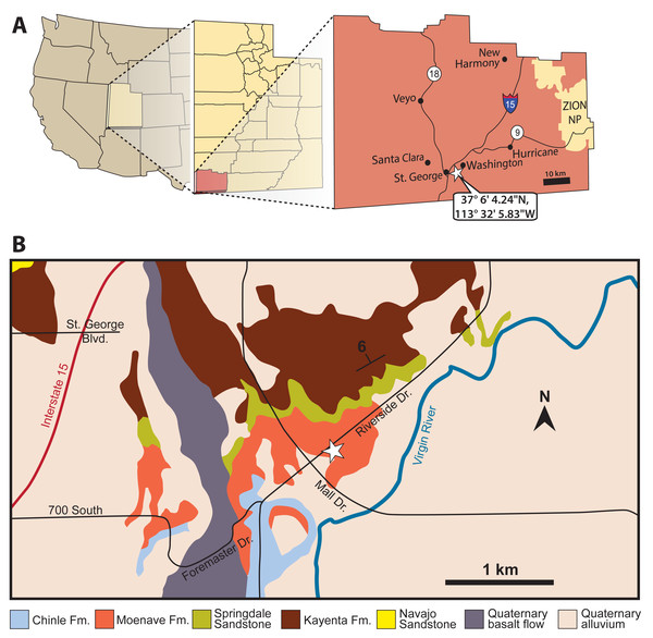 Location (white stars) of the St. George Dinosaur Discovery Site (SGDS) in Washington County, St. George, Utah.