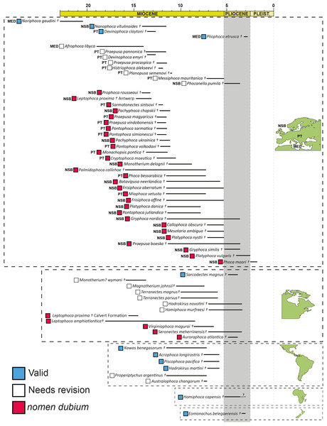 Geographic and temporal distribution of the revised fossil record of Phocidae.