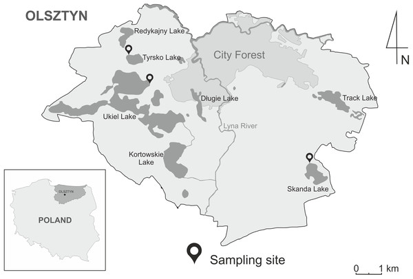 Geographic map of the Olsztyn, North-Eastern Poland, showing three localities of sampling sites of snails in the years 2020–2021.