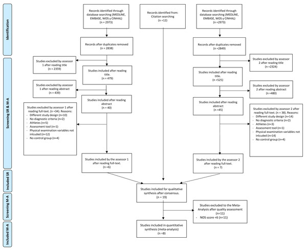 Flow chart of the study selection process.