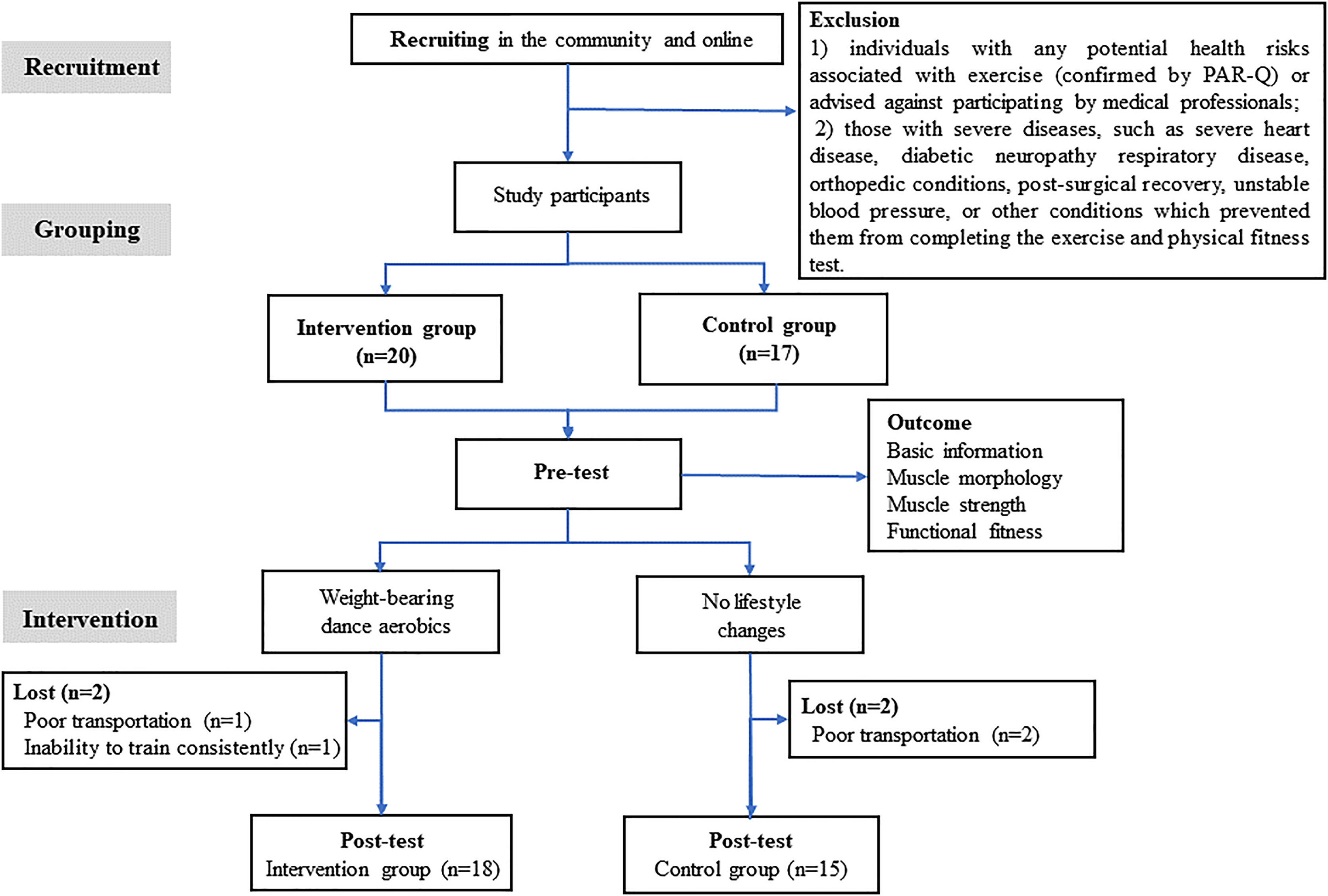 Effects of weight-bearing dance aerobics on lower limb muscle ...