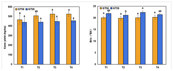 Cane yield and brix in cane juice under different chemical fertilization rates.