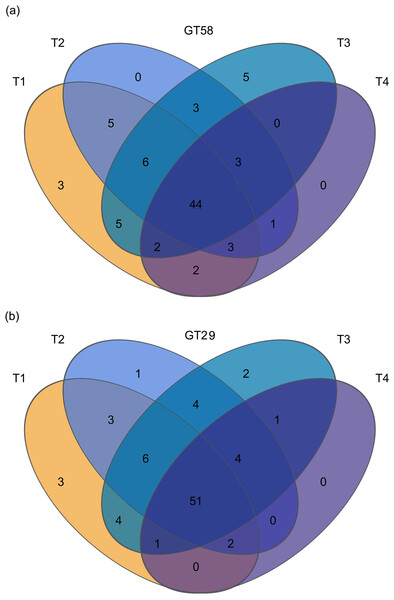 Venn diagram of AMF communities in sugarcane rhizosphere soils under different chemical fertilization rates.