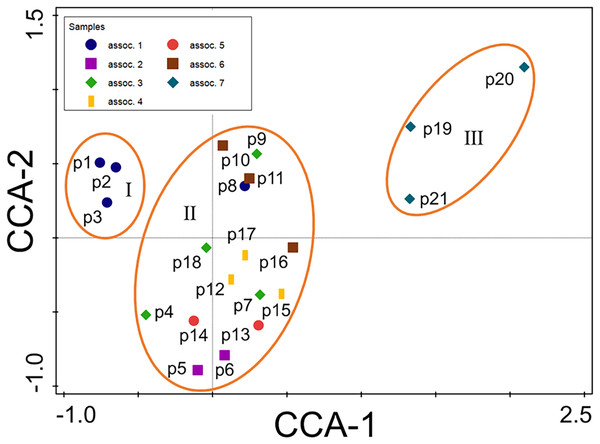 Canonical correlation analysis (CCA) ordination diagram of 21 plots.