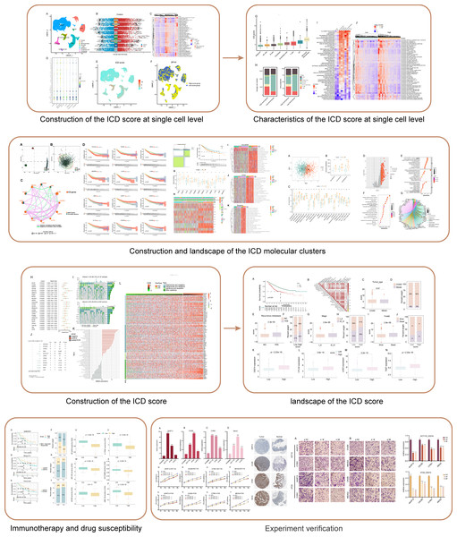 Flowchart of this study.