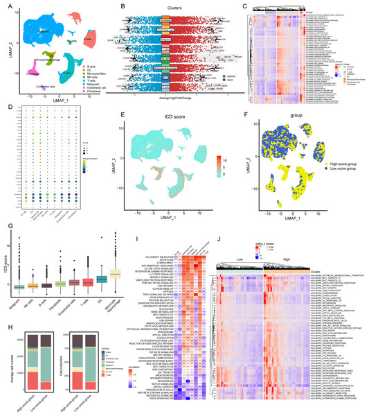 Elaboration of ICD score and cellular diversity in COADREAD via scRNA-seq.