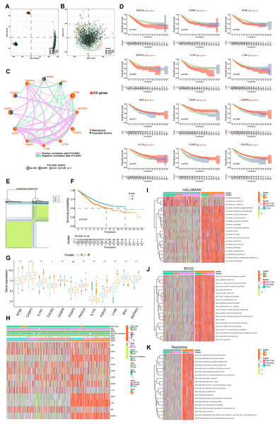 Delineation and biological characterization of ICD molecular subtypes in colorectal carcinoma.