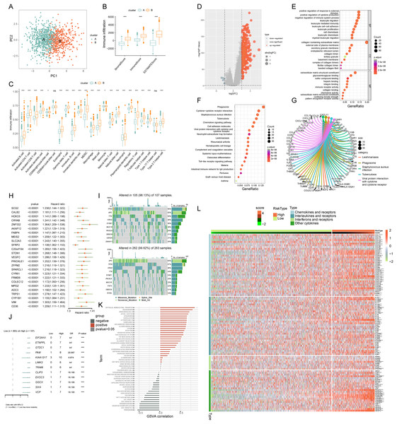 Comprehensive ICD score analysis in colorectal carcinoma.