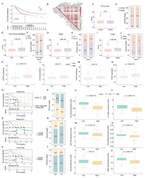 Assessment of clinical impact, immunotherapy response, and drug sensitivity in relation to ICD score.