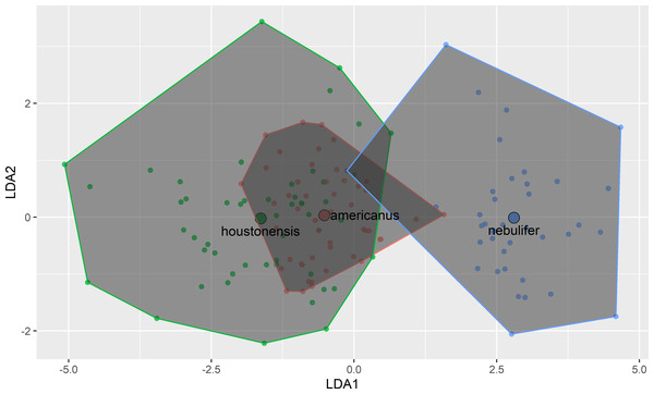 Plot of first two axes of a linear discriminant function analysis using measurements of eight morphological characters among Coastal Plains Toads (I. nebulifer; n = 39), Dwarf American Toads (A. a. charlesmithi; n = 50), and Houston Toads (A. houstonensis; n = 51).