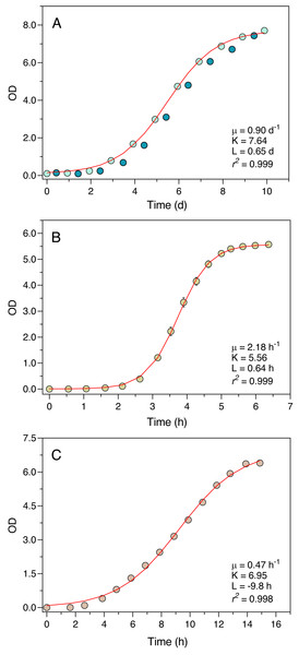 Growth curves of P. tricornutum (A), E. coli ATCC 25922 (B) and S. cerevisiae (C) as derived from OD measurements recorded using the Erlenmeter turbidimeter.