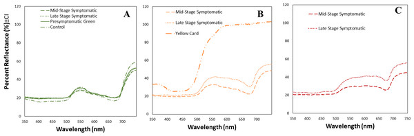 Mean spectral reflectance measurements of different tomato leaf areas depending on their infection status.