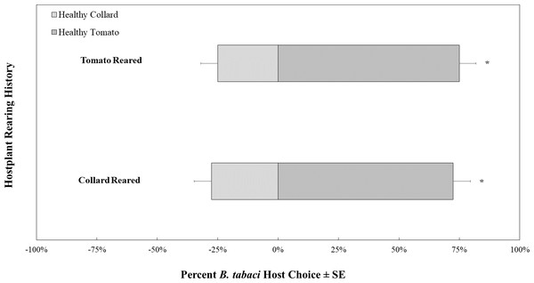 Olfactory Y-tube assays showing the proportion of Bemisia tabaci (uninfected with TYLCV) choosing TYLCV-free tomato volatiles vs. collard volatiles.