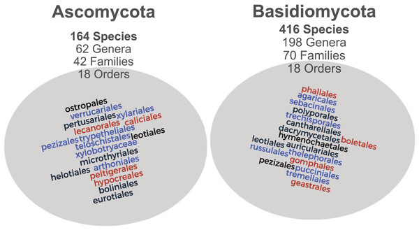 Taxonomic distribution of the images associated with MIND.Funga database.