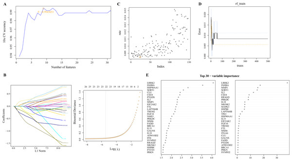 Screening of PCD related DEGs by machine learning algorithms.