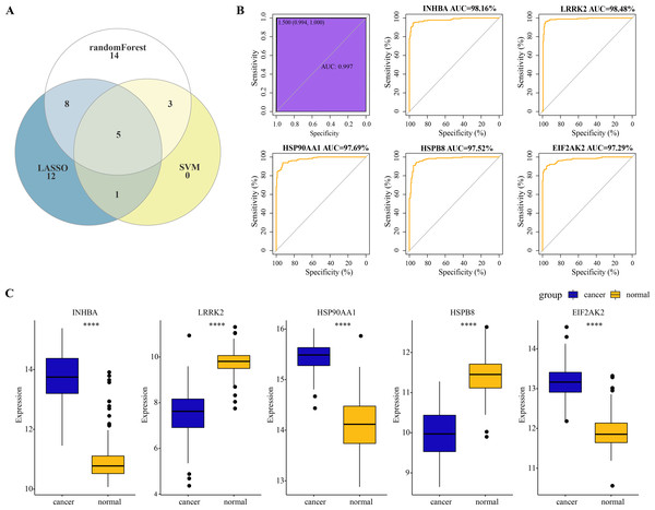 Identification of hub genes and evaluation of their diagnostic efficacy for ESCC.