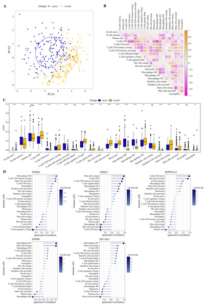 Immune correlation of hub genes.