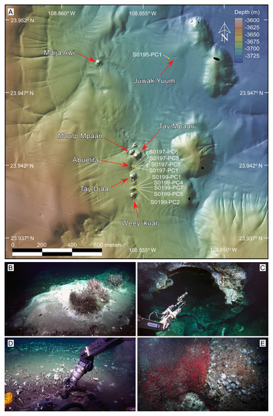 Overview of the sampling area and selected frame grabs of the JaichMaa ‘ja ‘ag vent field and adjacent vent sites.