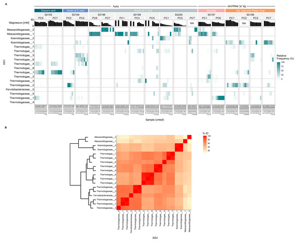 Microbial structure and composition of the phylum Thermotogota in the Auka and JaichMaa ‘ja ‘ag hydrothermal vent fields.