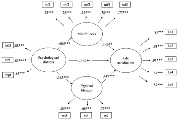 The standardized coefficients of mediation SEM.