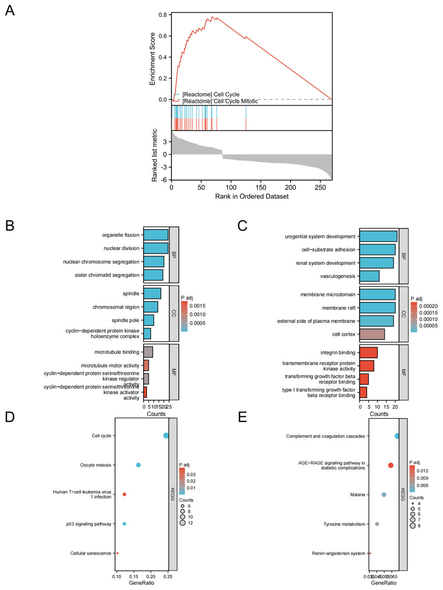 Machine learning and bioinformatics analysis of diagnostic biomarkers ...