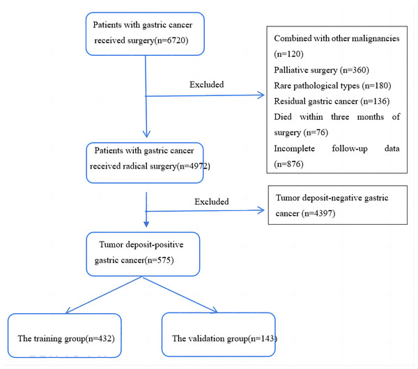 A flow chart of patient inclusion.