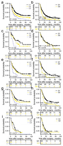 Comparison of survival curves for patients in groups L1, L2, and L3 and groups Q1 and Q2.