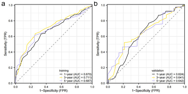 Receiver operating characteristic curves.