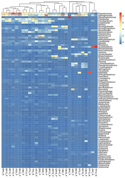 Taxonomic composition and structure of microbial communities at the genus level.