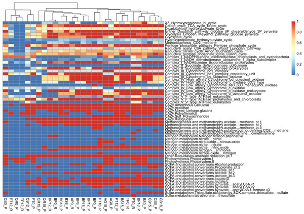 Functional genes annotation of studied assemblies based on DRAM (distilled and refined annotation of metabolism).