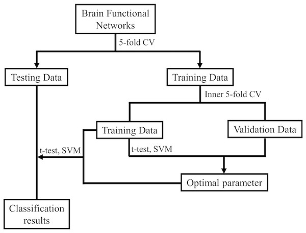 The MCI identification pipeline based on the estimated BFNs.