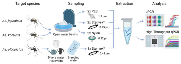 Study scheme of this study.