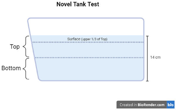 Novel tank test diagram.