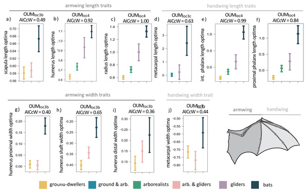 (A–J) Forelimb trait optima from model-fitting of univariate traits.