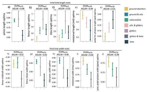 (A–J) Hind limb trait optima from model-fitting of univariate traits.