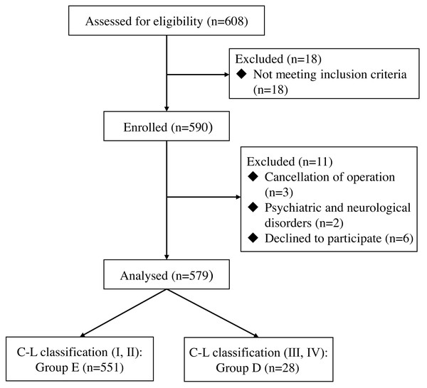 Flow diagram of patient recruitment.