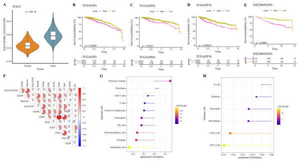 Glycolysis score and tumor microenvironment analysis.