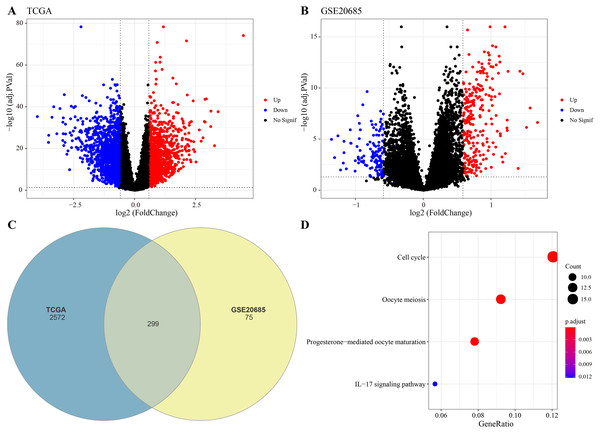 Identification of differential expression genes (DEGs).